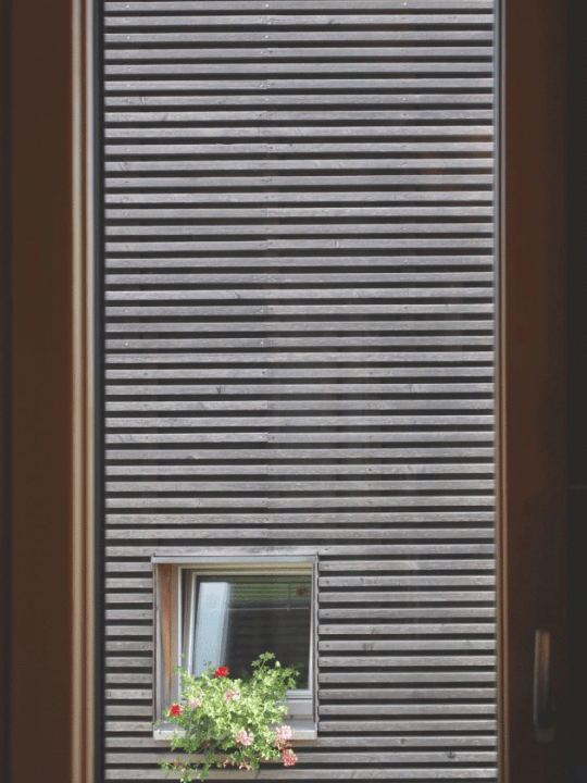 {qp_statement_image_alt_text_5}